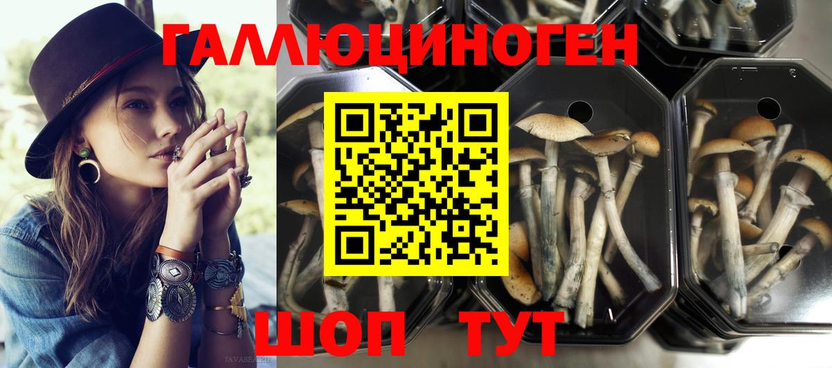 Псилоцибиновые грибы Cubensis  Вход с VPN  цены   Артёмовский 
